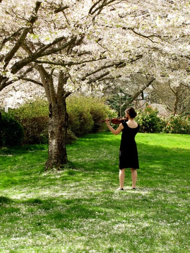 Gallery photo 2 of Lindsey's Elegant Solo Violin