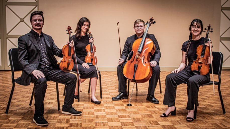 Gallery photo 4 of Elegant String Ensembles (Solo, Duos, and Trios)