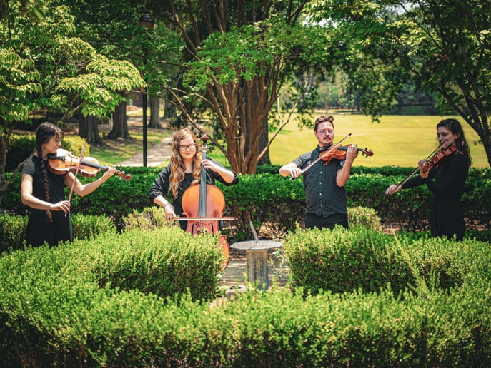Gallery photo 5 of Elegant String Ensembles (Solo, Duos, and Trios)