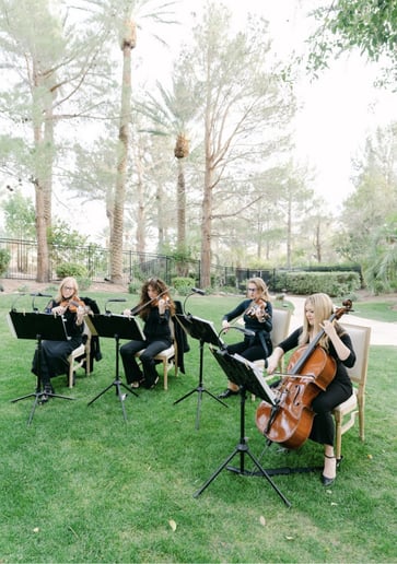 Gallery photo 5 of Elegant Strings of Las Vegas