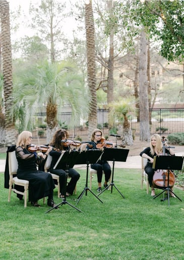 Gallery photo 2 of Elegant Strings of Las Vegas