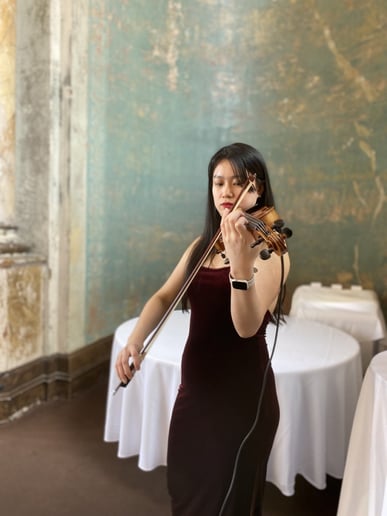 Gallery photo 2 of Elegant Violin