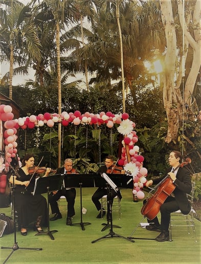 Gallery photo 2 of Eleganza Strings