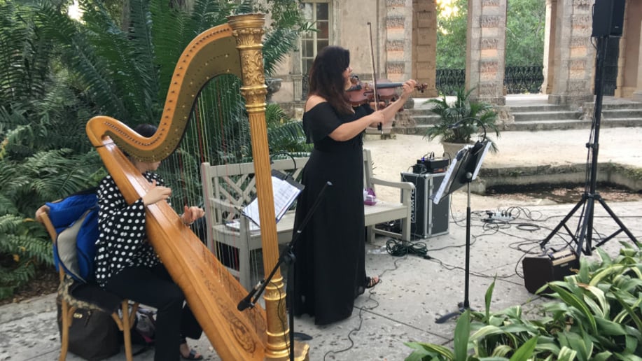 Gallery photo 8 of Eleganza Strings