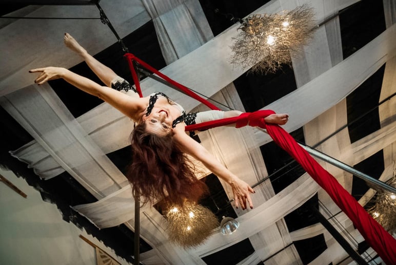 Gallery photo 5 of Elements Aerials