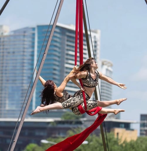 Gallery photo 1 of Elements Aerials
