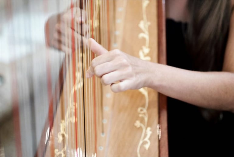 Gallery photo 9 of Eleonora Pellegrini, Harpist