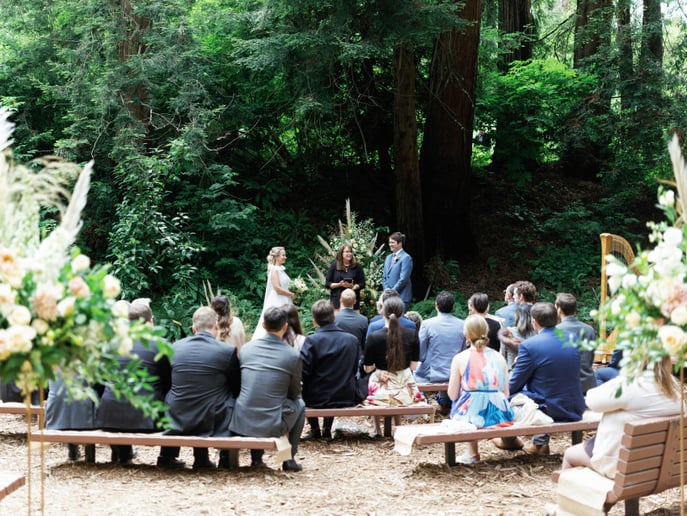 Gallery photo 7 of Eleonora Pellegrini, Harpist