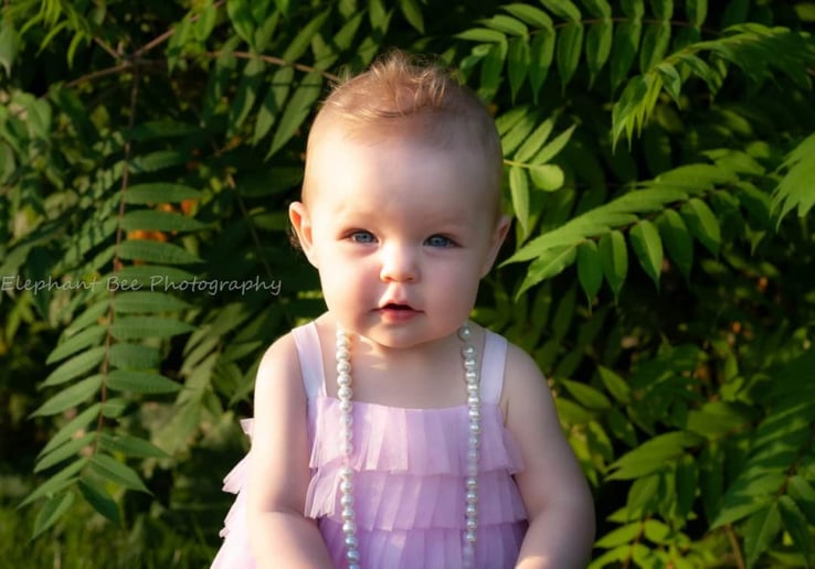 Gallery photo 7 of Elephant Bee Photography