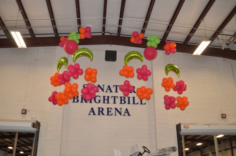 Gallery photo 7 of Elevated Balloon Decor