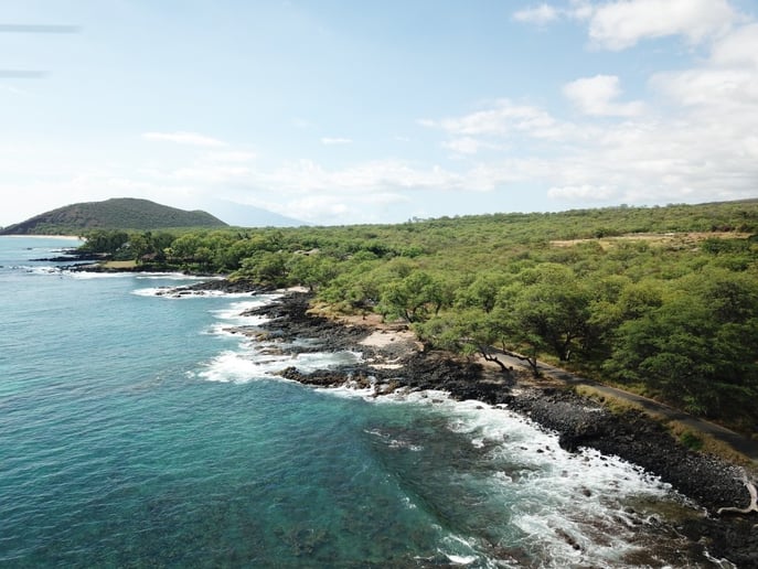 Gallery photo 4 of Elevated Media drone photography