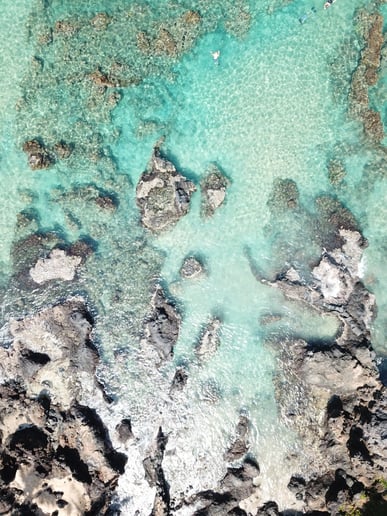 Gallery photo 10 of Elevated Media drone photography