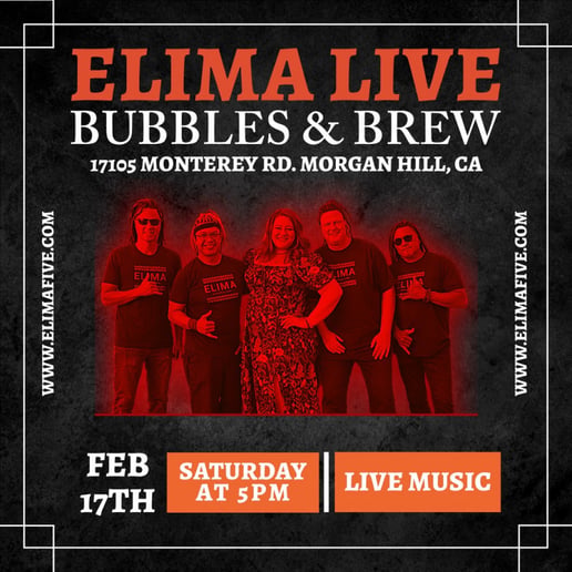 Gallery photo 1 of Elima - SF Bay Area Band