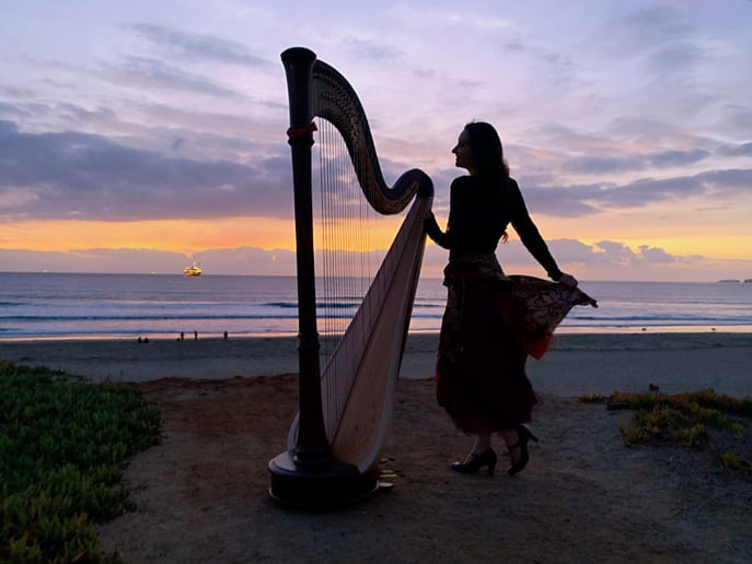 Gallery photo 1 of Liz Harpist