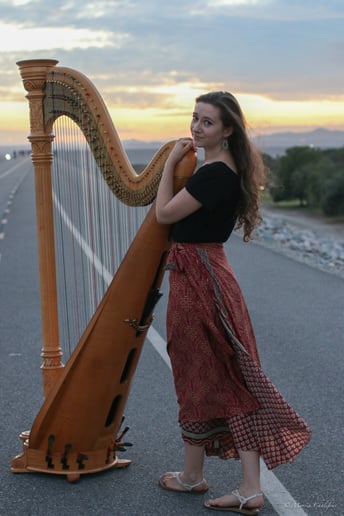 Gallery photo 2 of Liz Harpist