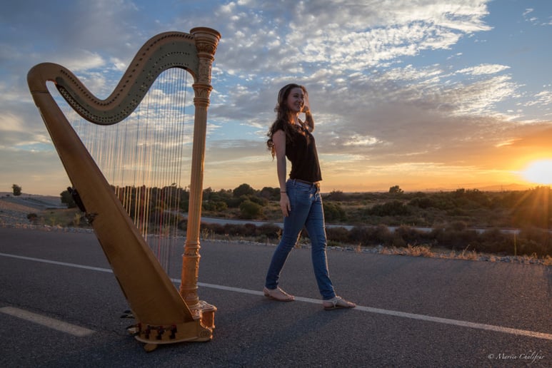 Gallery photo 3 of Liz Harpist