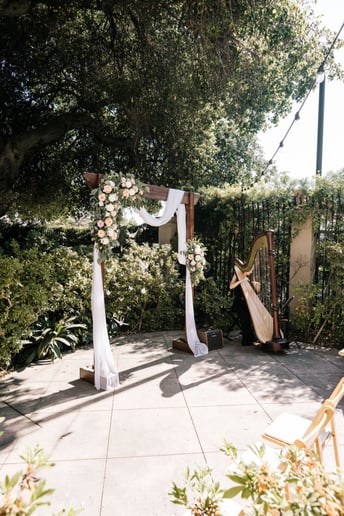 Gallery photo 4 of Liz Harpist