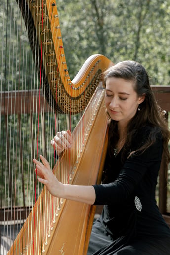 Gallery photo 5 of Liz Harpist