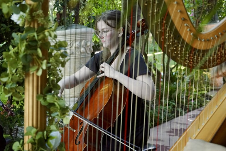Gallery photo 9 of Liz Harpist
