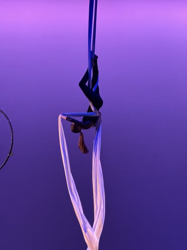 Gallery photo 1 of Elite Aerial Silks