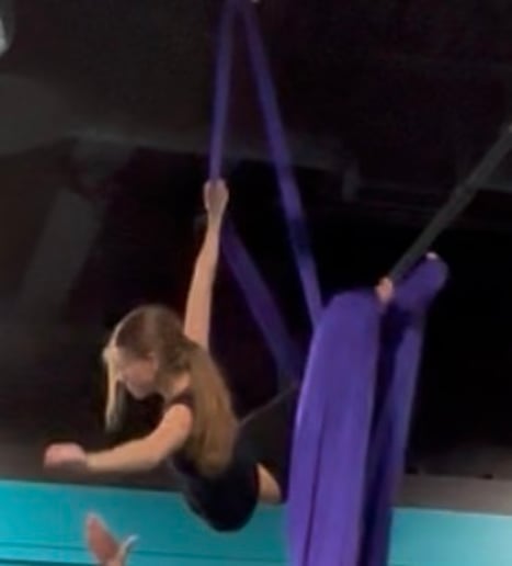 Gallery photo 2 of Elite Aerial Silks