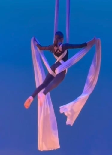 Gallery photo 3 of Elite Aerial Silks