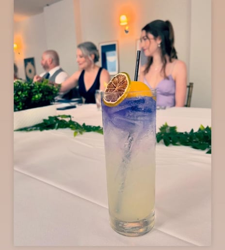 Gallery photo 9 of Elite Bartender