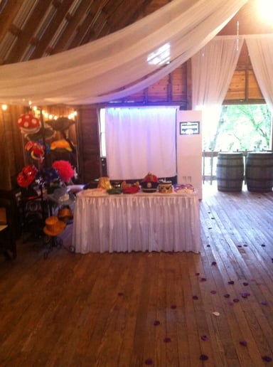 Gallery photo 9 of Elite Photobooth