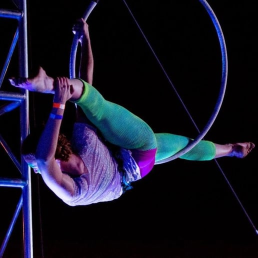 Gallery photo 1 of Elizabeth Aerial Artist