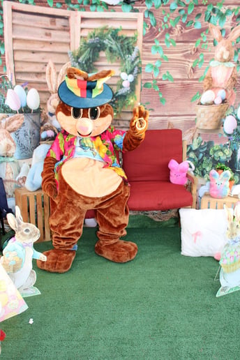 Gallery photo 8 of Elkcim Entertainment LLC