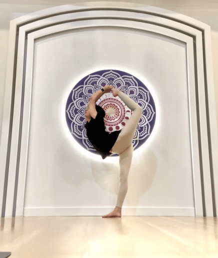 Gallery photo 8 of Ella Aerial Arts