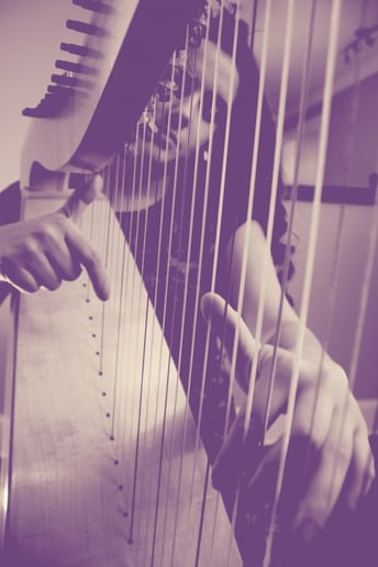 Gallery photo 9 of Ellen Shiraef Harpist