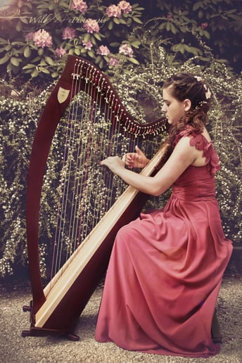 Gallery photo 4 of Ellen Shiraef Harpist