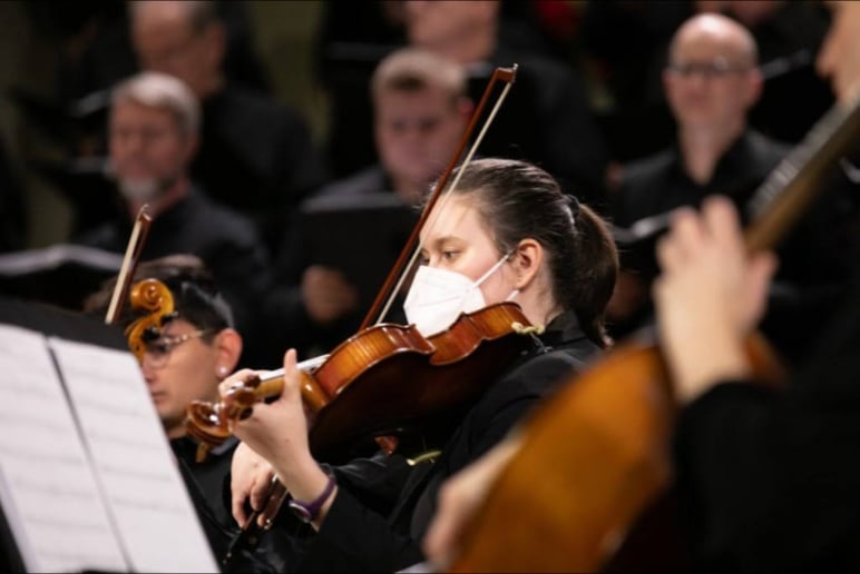 Gallery photo 3 of Eloquia String Quartet