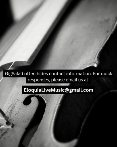 Gallery photo 1 of Eloquia String Quartet