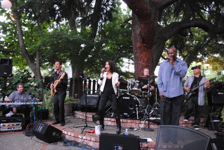Gallery photo 10 of Elsa Denton Band