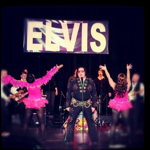 Gallery photo 1 of Elvis Himselvis