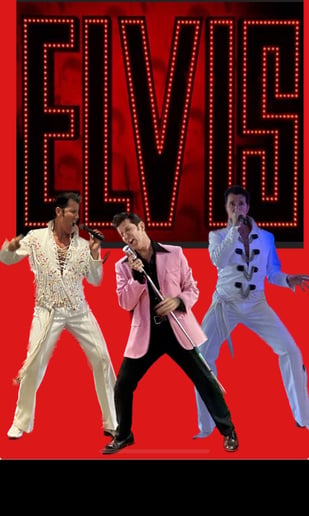 Gallery photo 3 of Dan Cunningham - Elvis Impersonator