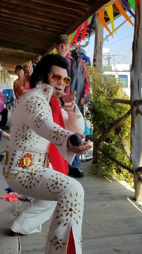 Gallery photo 75 of Elvis Tribute Artist Michael McMullen
