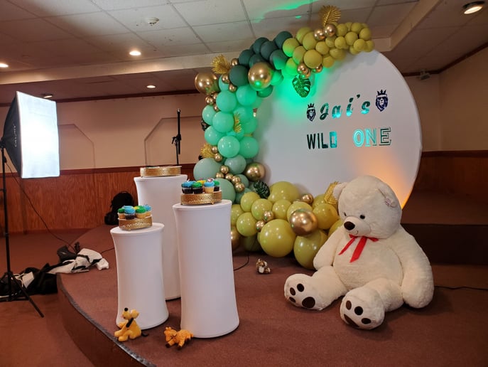 Gallery photo 9 of Emad The Twister, EDM DJ & Event Decor & More