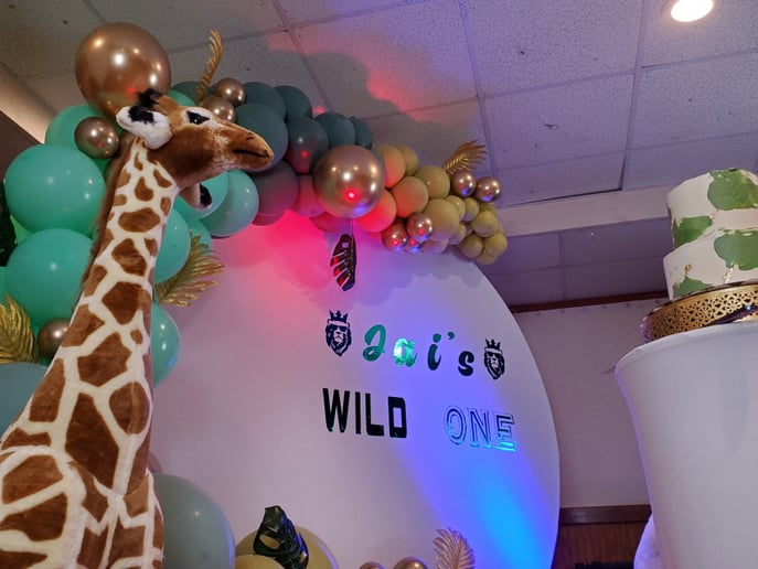 Gallery photo 7 of Emad The Twister, EDM DJ & Event Decor & More