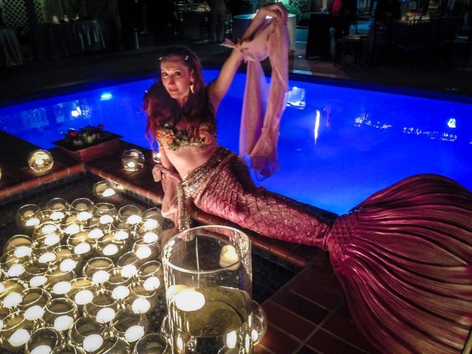Gallery photo 43 of EMCirque