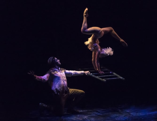 Gallery photo 55 of EMCirque