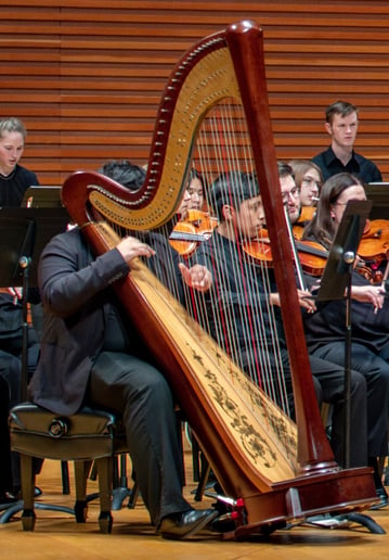 Gallery photo 1 of Emilio J, Harpist