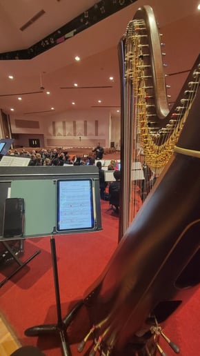 Gallery photo 4 of Emilio J, Harpist