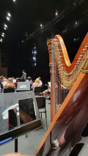 Gallery photo 5 of Emilio J, Harpist