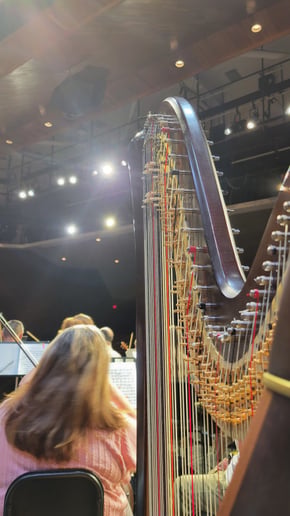Gallery photo 6 of Emilio J, Harpist