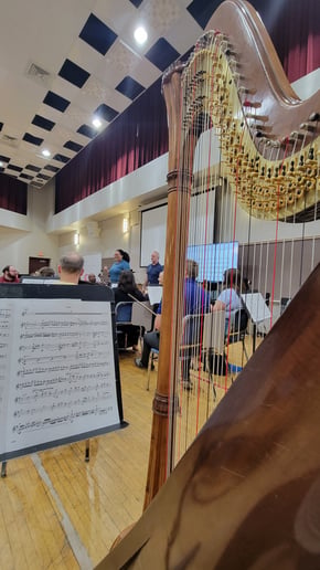 Gallery photo 8 of Emilio J, Harpist