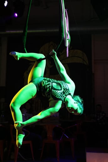 Gallery photo 6 of Emily Ann Aerial