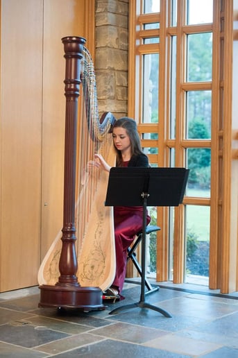 Gallery photo 5 of Emily Duncan - Harpist